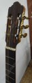 Guitarra de palo de rosa modelo JUB 6